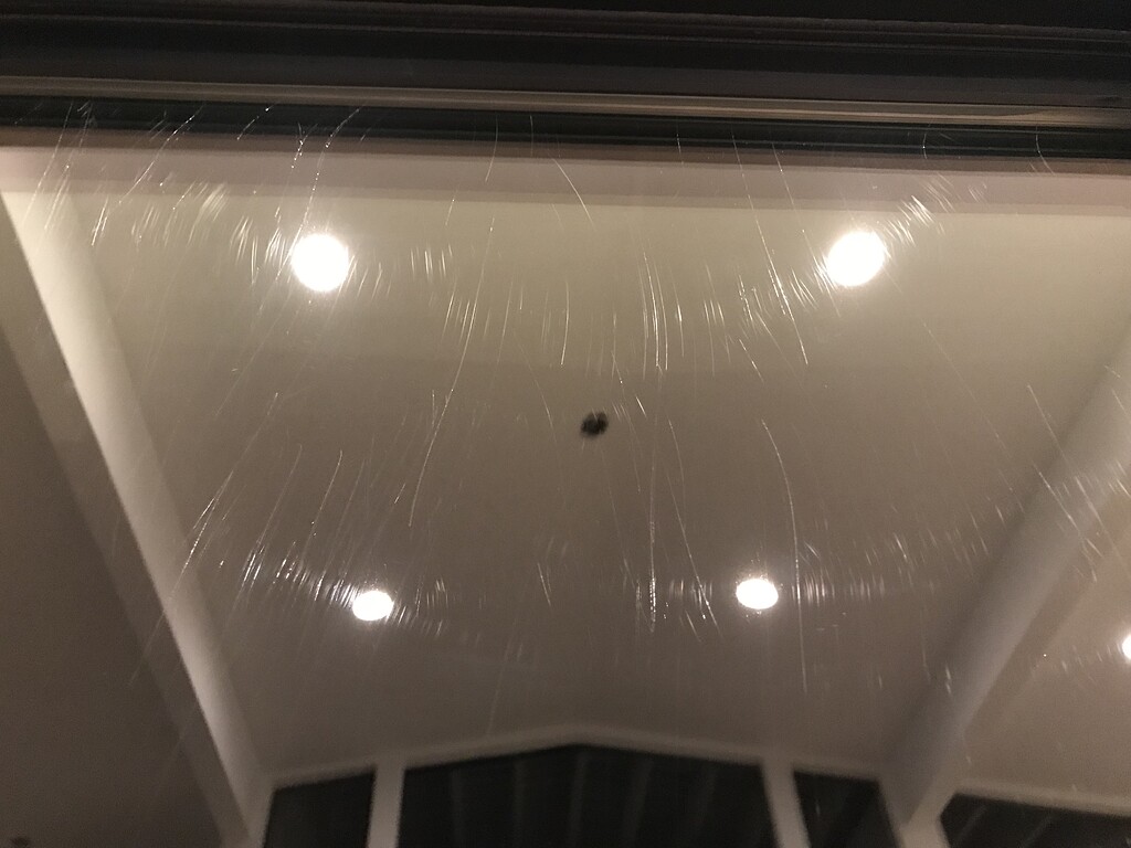 Scratched window